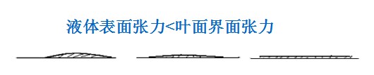 有機(jī)硅助劑在農(nóng)業(yè)中的應(yīng)用