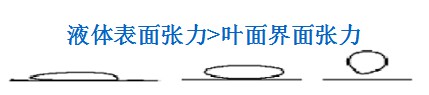 有機(jī)硅助劑在農(nóng)業(yè)中的應(yīng)用