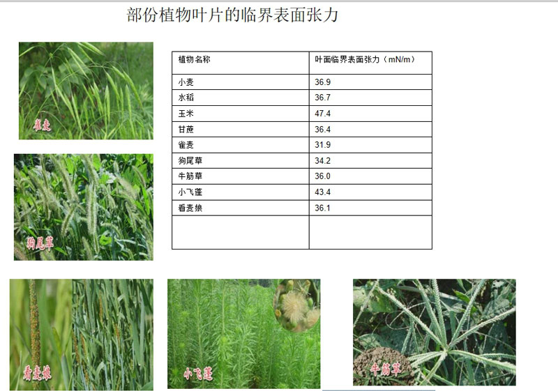 有機(jī)硅助劑在農(nóng)業(yè)中的應(yīng)用