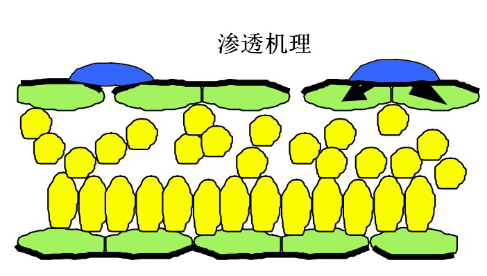 有機(jī)硅助劑在農(nóng)業(yè)中的應(yīng)用
